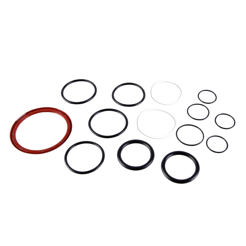 Rear Hub Seal and O-Ring Kit Torch