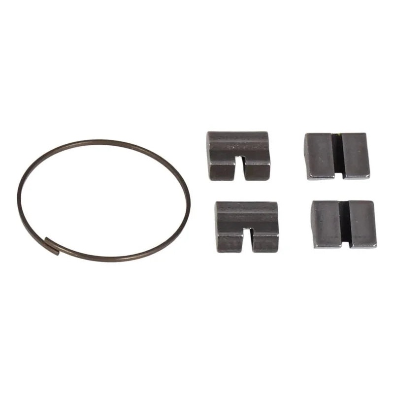 Salt “EX Cassette” Spring/Pawl Set Pawls X4